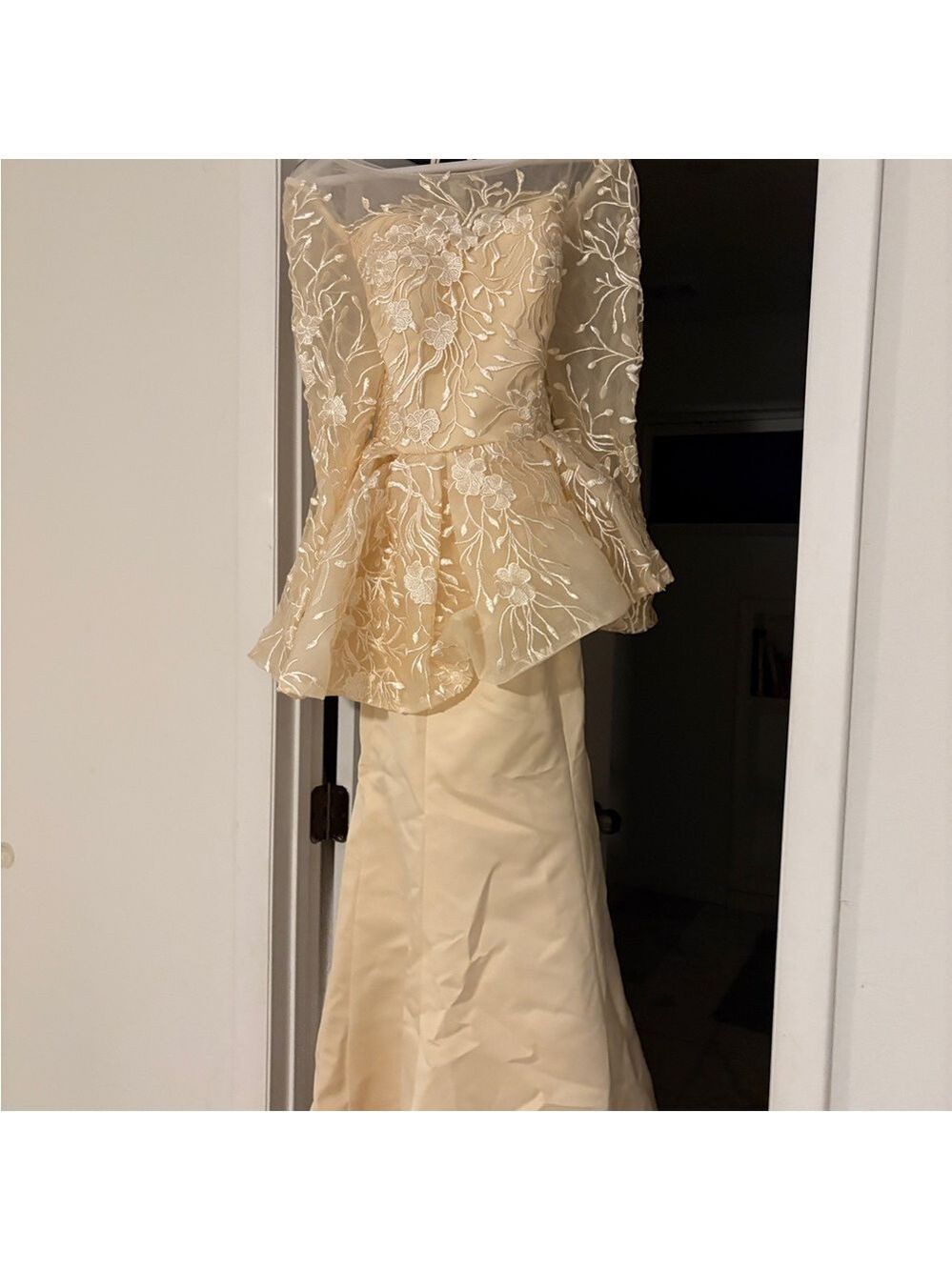 Formal Champagne Peplum Style Evening Gown for Weddings & Parties -  size 10 - Picture 6 of 6